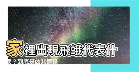 白蛾飛進家裡|【家裡出現飛蛾代表什麼】家裡出現飛蛾代表什麼？到。